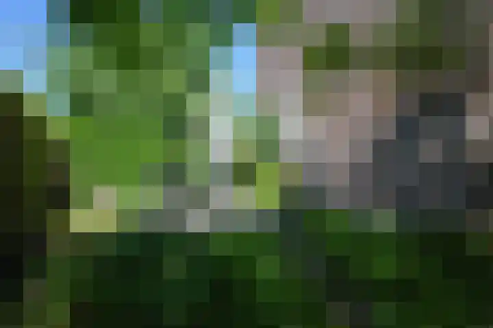 Fitissingel 29 Deurne thumbnail 26