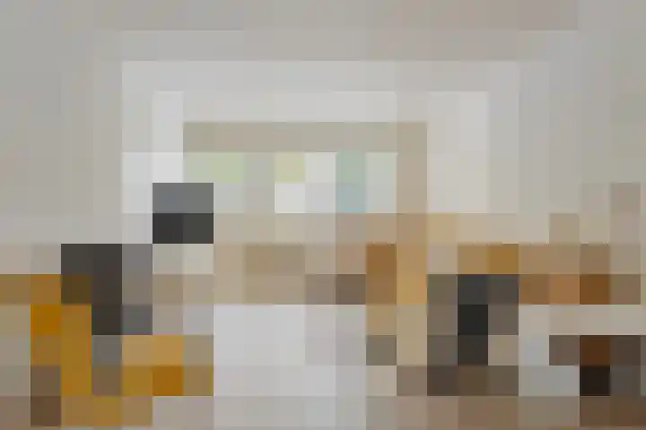 Fitissingel 29 Deurne thumbnail 33