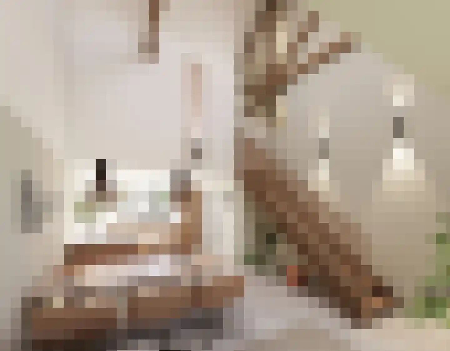 Fitissingel 29 Deurne thumbnail 4