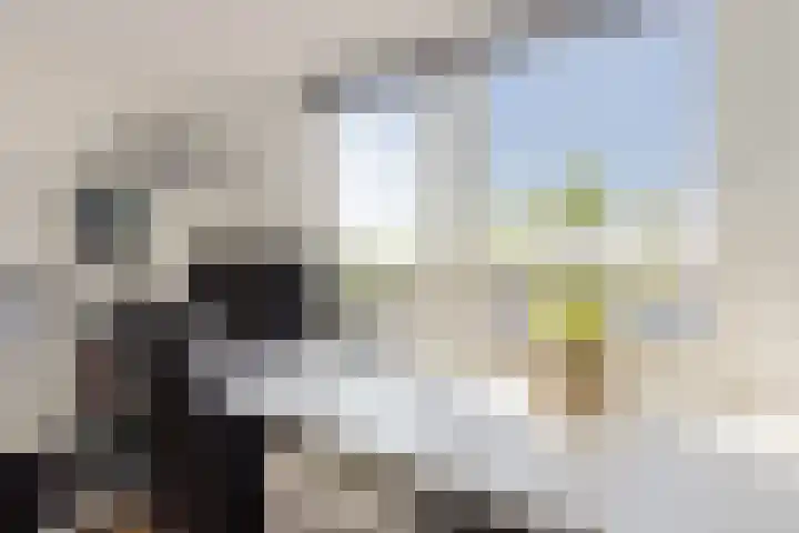 Fitissingel 29 Deurne thumbnail 6