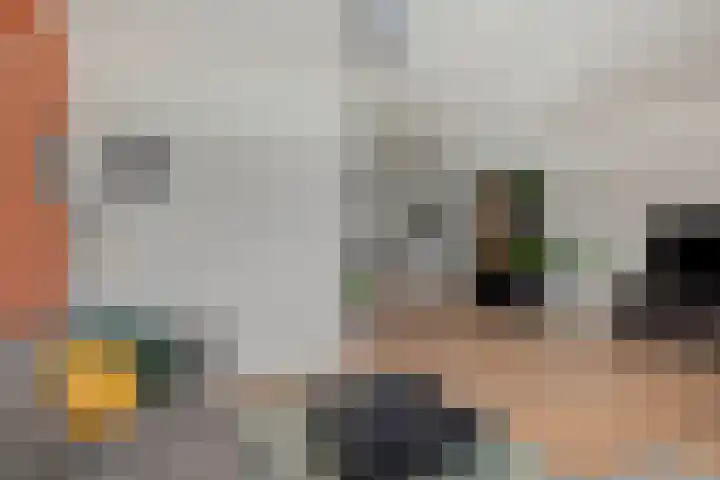 Fitissingel 79 Deurne thumbnail 11