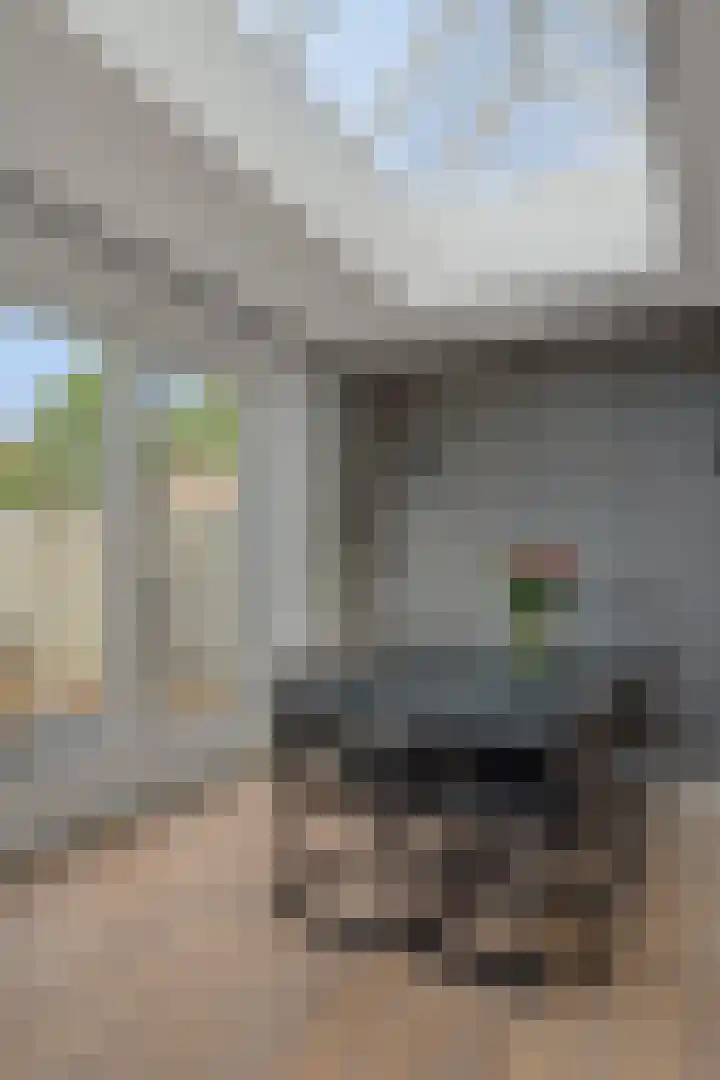 Fitissingel 79 Deurne thumbnail 17