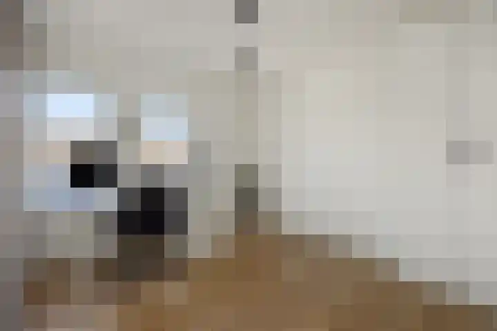 Fitissingel 79 Deurne thumbnail 22
