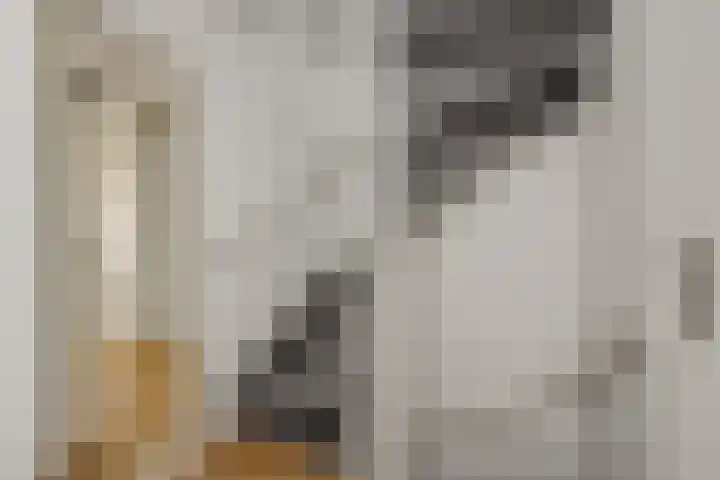Fitissingel 79 Deurne thumbnail 26