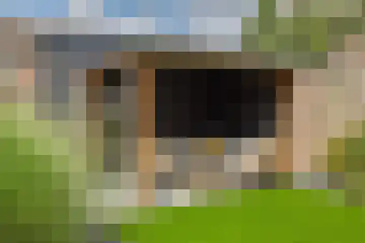 Fitissingel 79 Deurne thumbnail 32