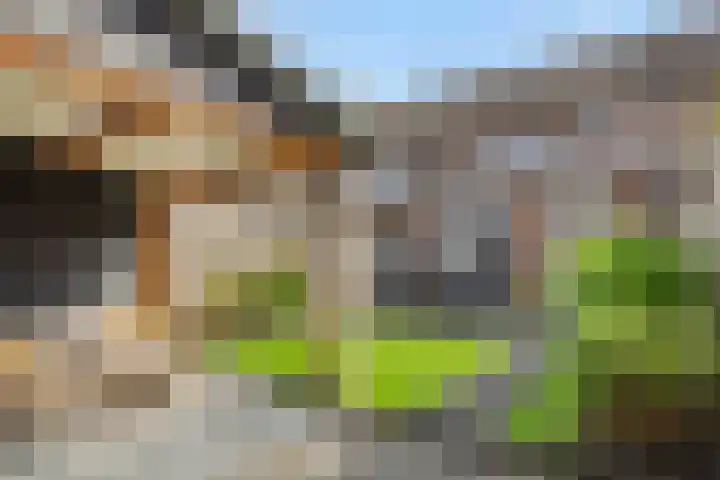 Fitissingel 79 Deurne thumbnail 33