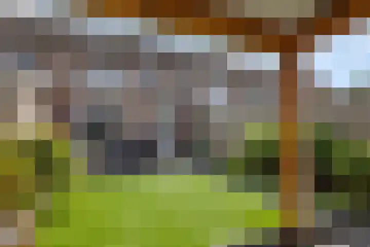 Fitissingel 79 Deurne thumbnail 34