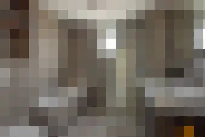 Fitissingel 79 Deurne thumbnail 4