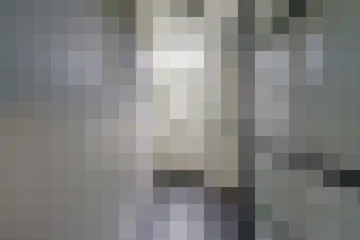 Fitisstraat 17 Helmond thumbnail 6