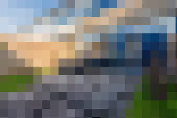 Fivel 11 Zwolle thumbnail 11