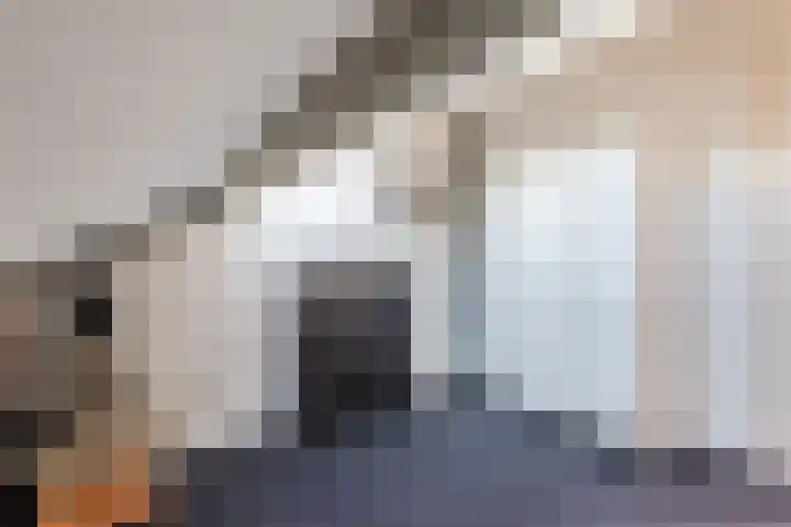 Fivel 11 Zwolle thumbnail 38