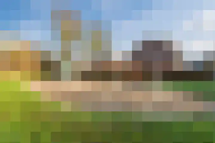 Fivel 11 Zwolle thumbnail 46