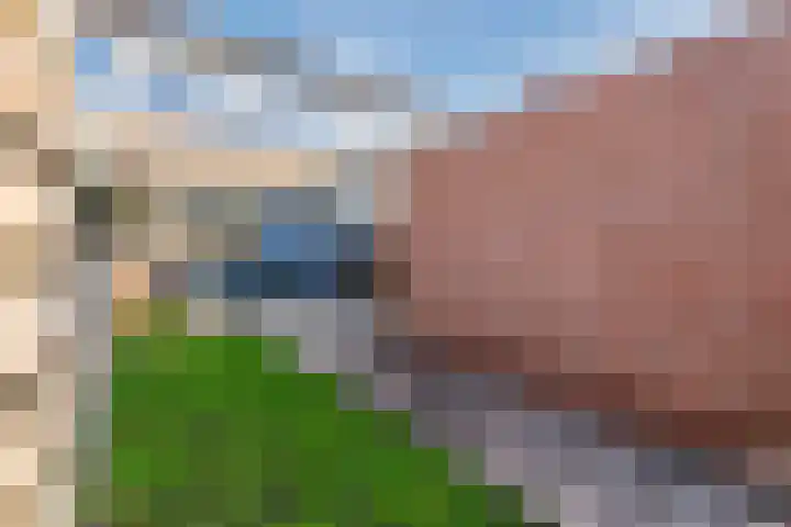Fivel 11 Zwolle thumbnail 9