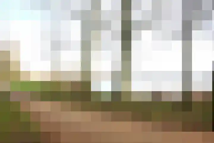 Fivel 52 Zwolle thumbnail 30