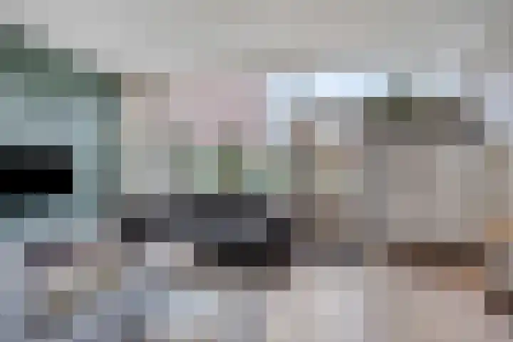 Fivel 61 Zwolle thumbnail 7