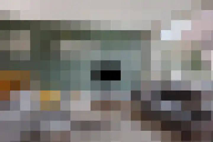 Fivel 61 Zwolle thumbnail 8