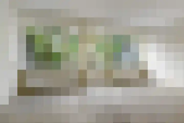 Fivelingo 120 Zoetermeer thumbnail 15