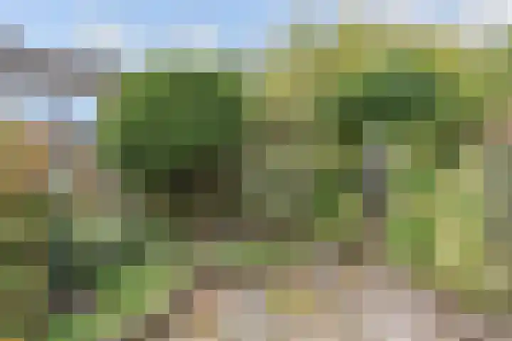 Fivelingo 120 Zoetermeer thumbnail 17