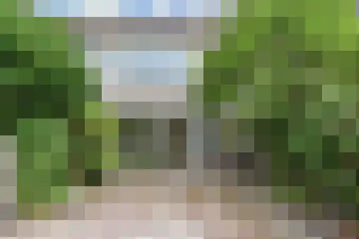Fivelingo 120 Zoetermeer thumbnail 20