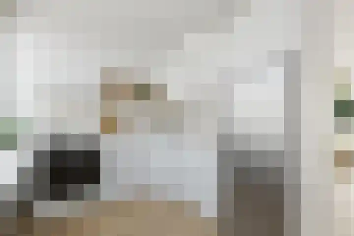 Fivelingo 120 Zoetermeer thumbnail 24