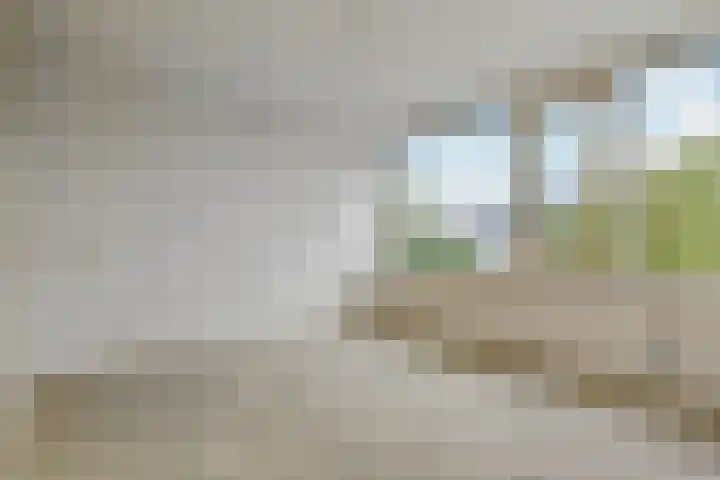 Fivelingo 120 Zoetermeer thumbnail 27