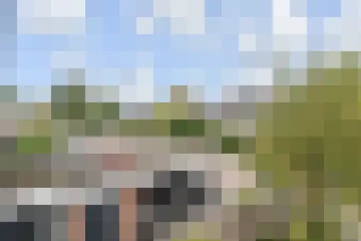 Fivelingo 120 Zoetermeer thumbnail 28