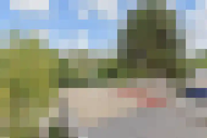Fivelingo 120 Zoetermeer thumbnail 29