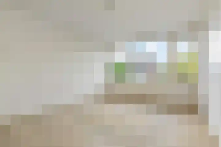 Fivelingo 120 Zoetermeer thumbnail 37