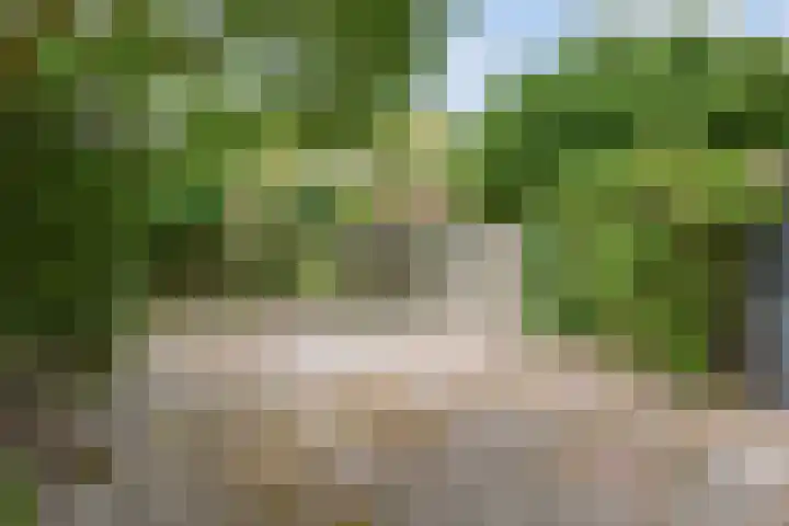 Fivelingo 120 Zoetermeer thumbnail 4
