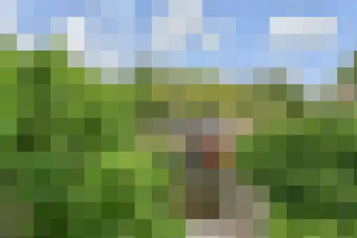 Fivelingo 120 Zoetermeer thumbnail 40