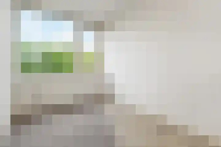 Fivelingo 120 Zoetermeer thumbnail 41