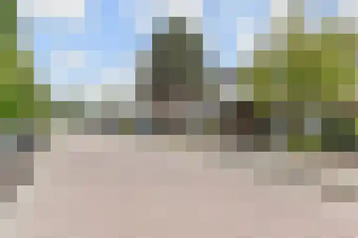 Fivelingo 120 Zoetermeer thumbnail 49