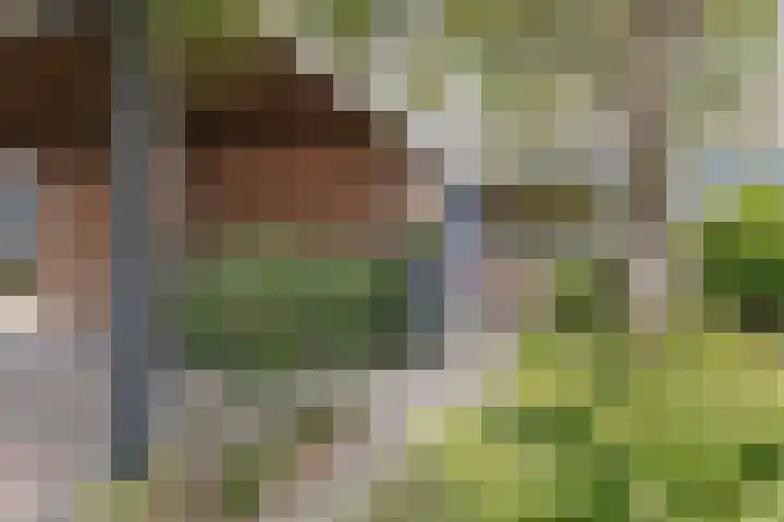 Fivelingo 120 Zoetermeer thumbnail 7