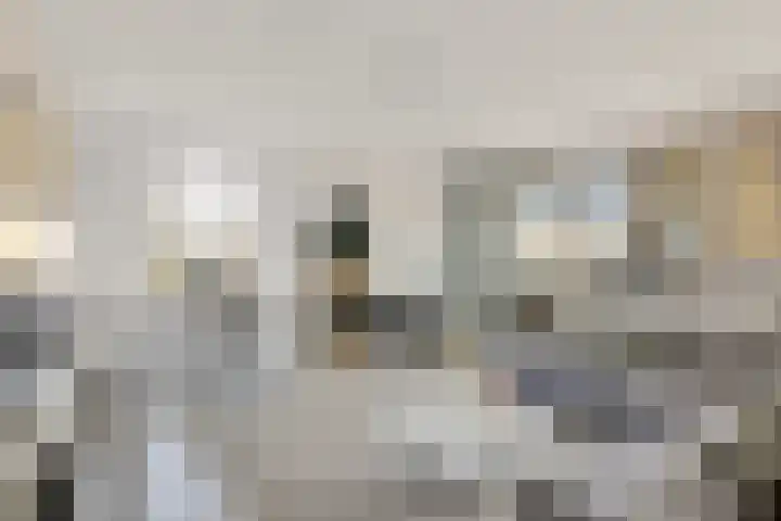 Fivelingo 235 Utrecht thumbnail 11