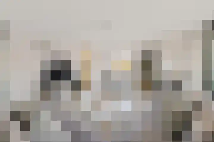 Fivelingo 235 Utrecht thumbnail 15