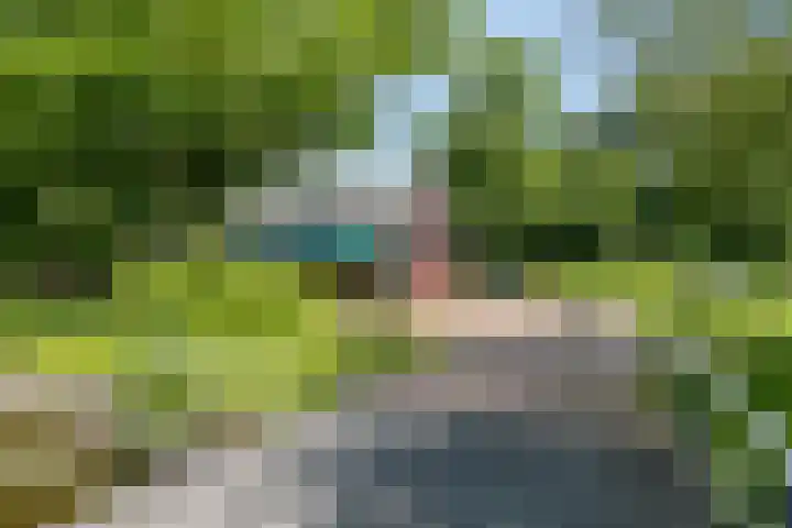 Fivelingo 235 Utrecht thumbnail 31