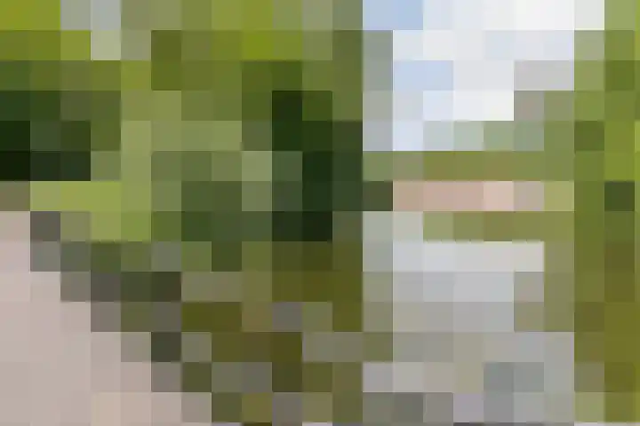 Fivelingo 235 Utrecht thumbnail 32