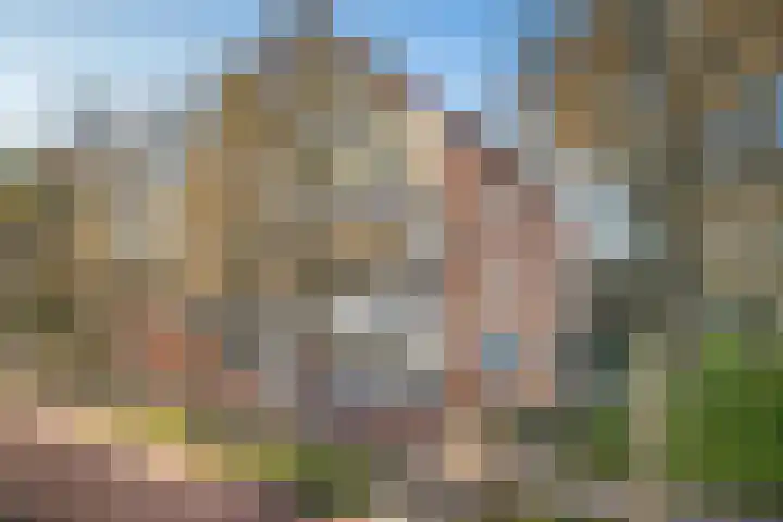 Fivelingo 235 Utrecht thumbnail 4