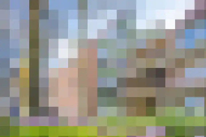 Fivelingo 235 Utrecht thumbnail 5