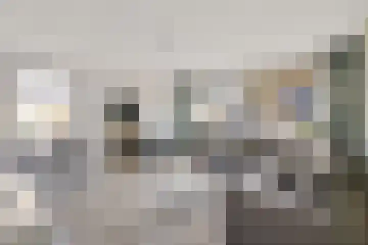 Fivelingo 235 Utrecht thumbnail 8