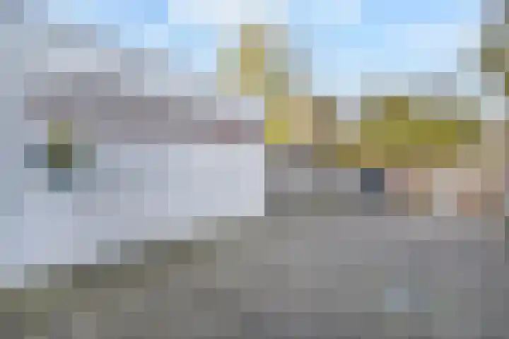 Fivelingo 42 Zoetermeer thumbnail 16