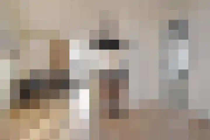 Fivelingo 42 Zoetermeer thumbnail 22