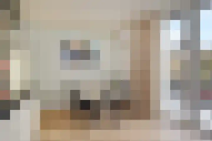 Fivelingo 42 Zoetermeer thumbnail 23