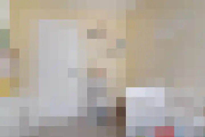 Fivelingo 42 Zoetermeer thumbnail 35