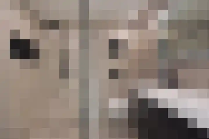 Fivelingo 42 Zoetermeer thumbnail 37
