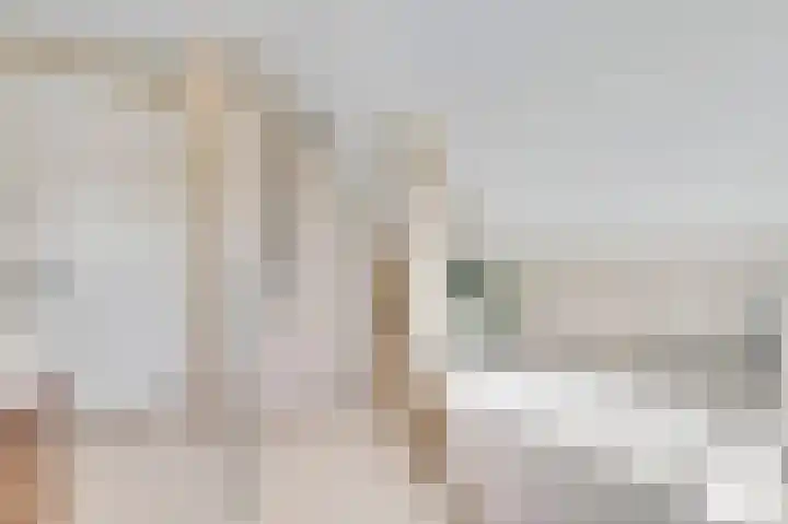 Fivelingo 42 Zoetermeer thumbnail 4