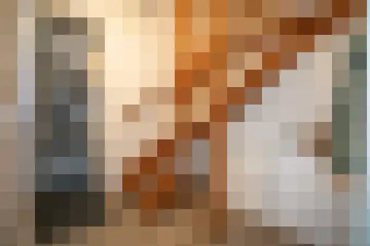 Fivelingo 42 Zoetermeer thumbnail 41