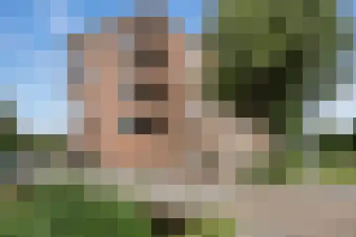Fivelingo 42 Zoetermeer thumbnail 5