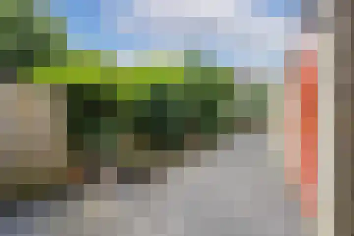 Fivelingo 89 Utrecht thumbnail 14