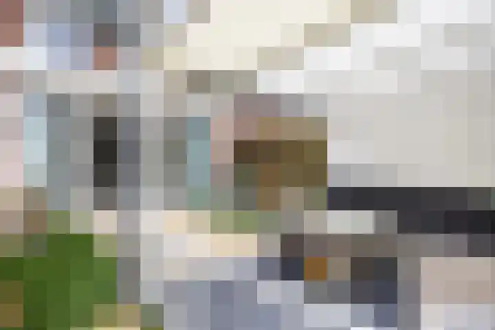 Fivelingo 89 Utrecht thumbnail 18
